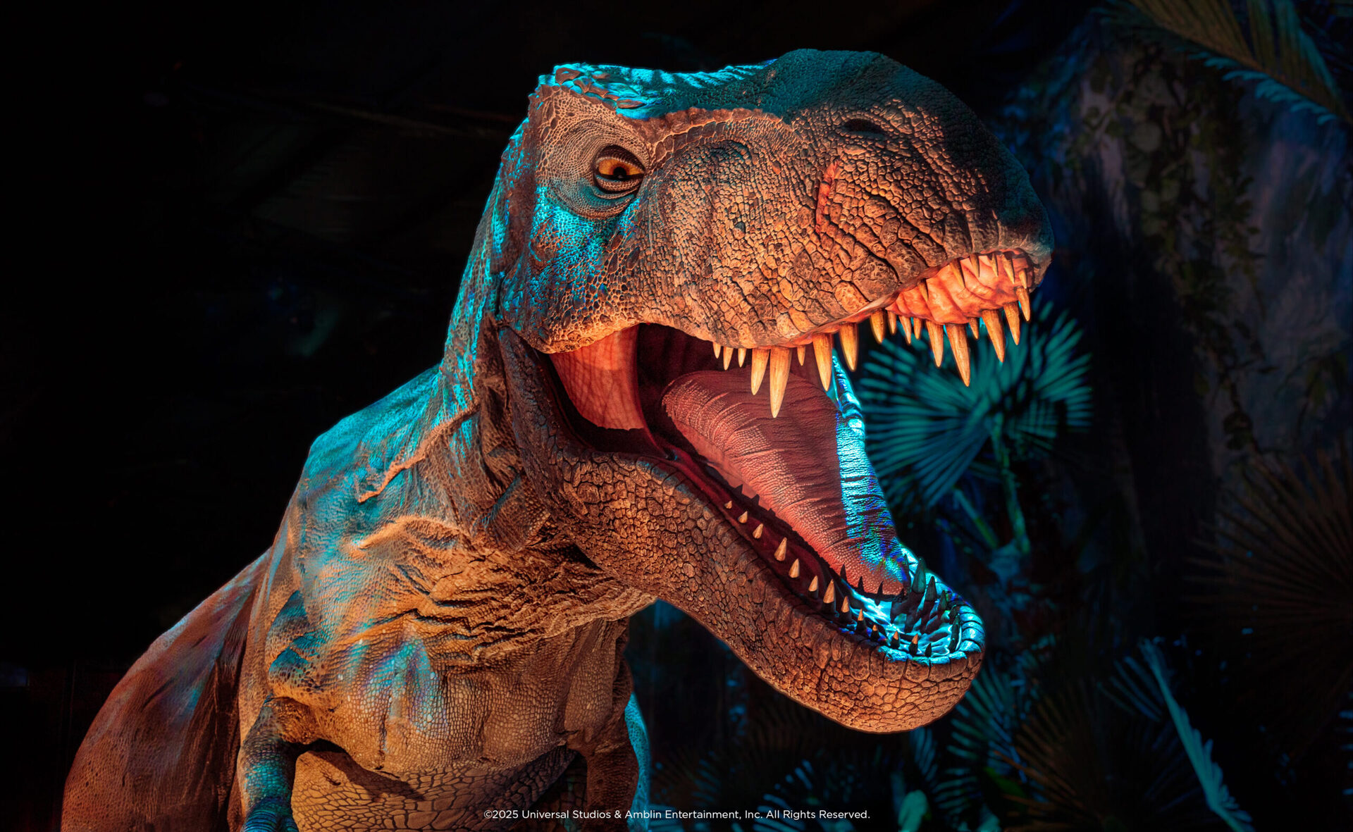 JWE PR6 1 Scaled Aspect Ratio 2300 1415 Scaled