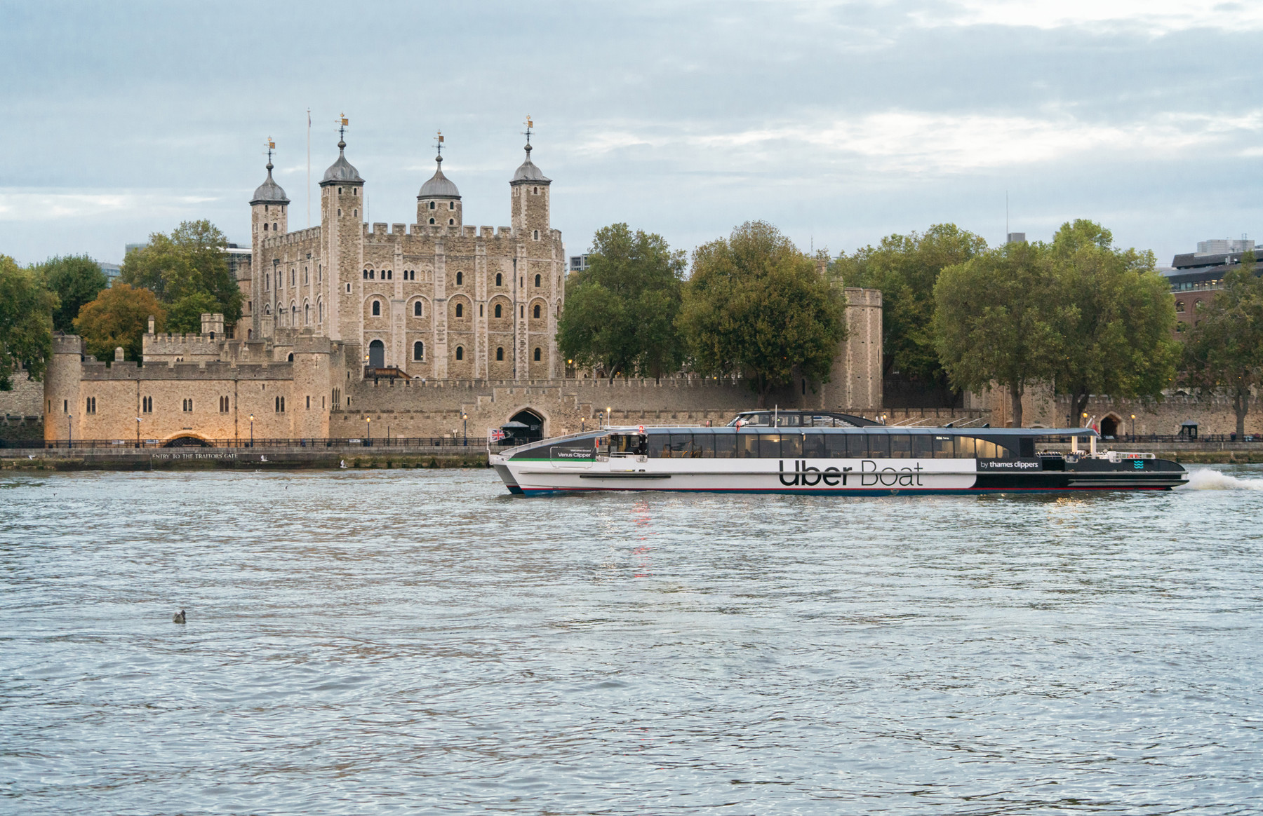 Venus Clipper at Tower