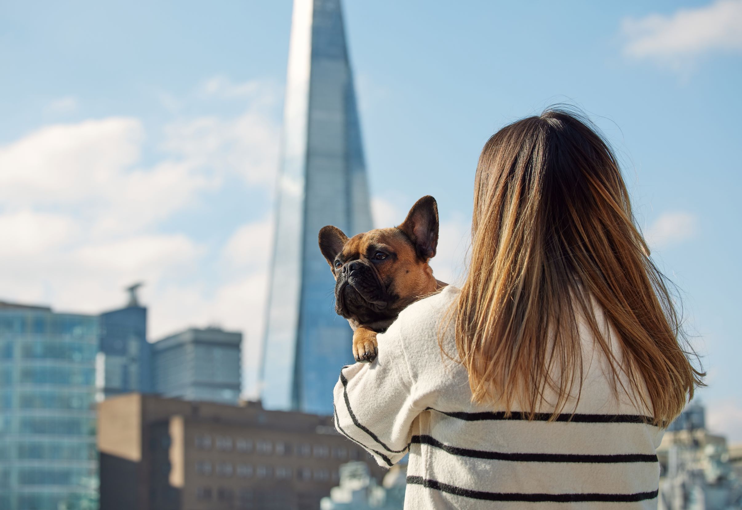Customer with dog with The Shard in the background