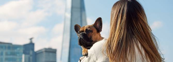 Customer with dog with The Shard in the background