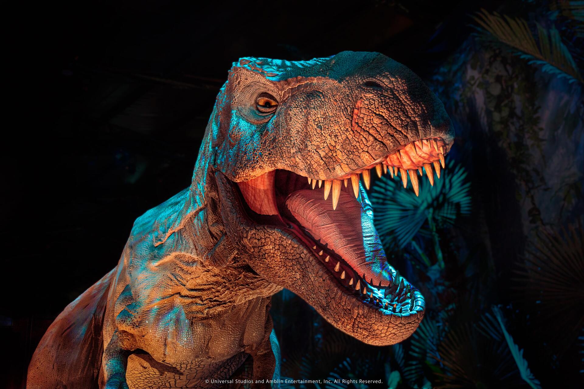 Jurassic World The Experience, T Rex Min
