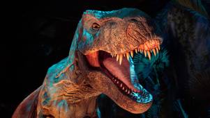Jurassic World The Experience, T Rex Min